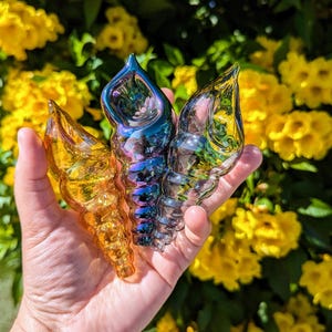 Shell Glass pipe/ Glass Pipes/ Pipe/ Pipes