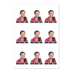 How dare you sticker sheet, Gretta decal, gas tank sticker, funny truck sticker, Greta car sticker, Greta Thunberg decal sticker