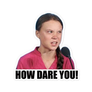 How dare you  refrigerator magnet, fridge magnets, fridge magnets funny, magnets fridge, magnets fridge funny