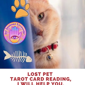 Lectura de cartas de mascota perdida (y encontrada), te daré información. Esto no es un hechizo.