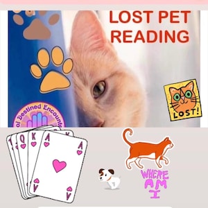 Puede incluir: La imagen muestra el texto "Lost Pet Psychic Card Reading" y "Lost Pet Reading". Incluye naipes, un gato de dibujos animados, un perro y el texto "Where am I?" y "Lost!" También se muestra el sitio web soldestinedencounter.com.