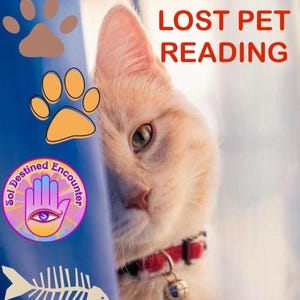 Leitura de cartas para animais de estimação perdidos (e encontrados), darei informações. Isso não é um feitiço.