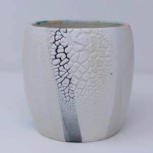 May include: A white ceramic planter with a textured surface. The planter features a vertical design with a cracked, reptile-like pattern in black and white. A gray stripe runs down the side. The rim has a colorful, painted design.