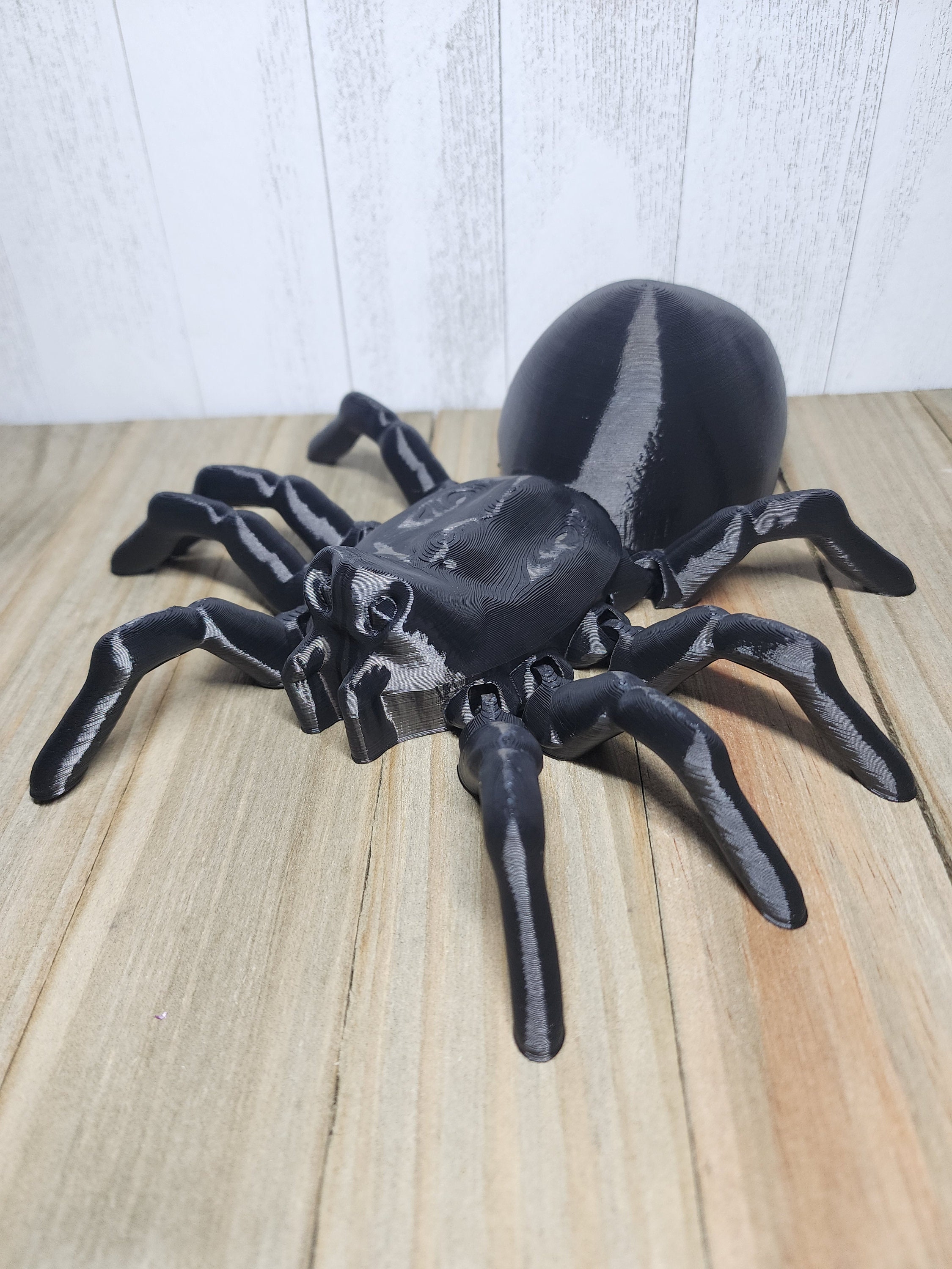 Scary Spider a Toy 