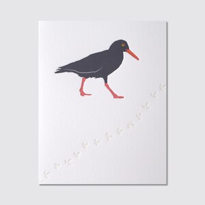 Carte typographique Huîtrier pie
