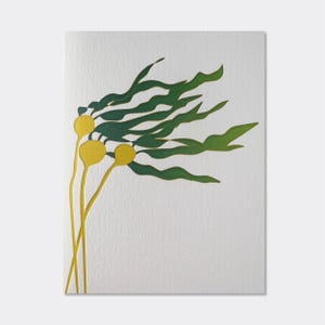Carte typographique varech