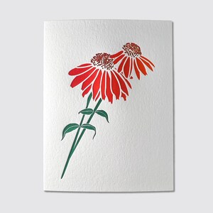 Carte typographique Echinacea