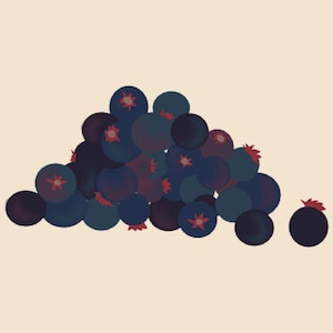 Painted Saskatoon Berry Clipart