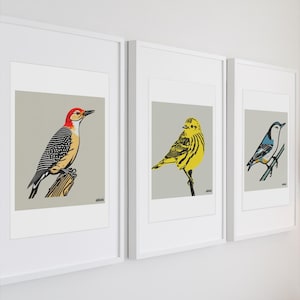 Vogelillustratieset – specht, grasmus en boomklever - ingelijste kunstafdrukken