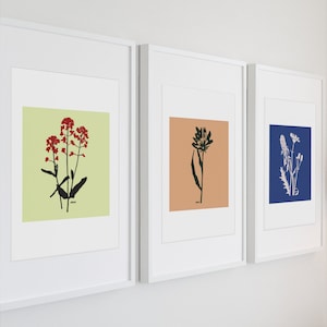 Botanical wildflower art prints for farmhouse decor