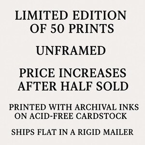 Hipster Frog on Bicycle Art Print: Urban Wall Decor image 3