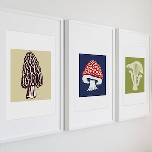Botanical mushroom wall art prints, Hand drawn foraging mushroom identification prints, Psychedelic mushroom art prints for bedroom decor