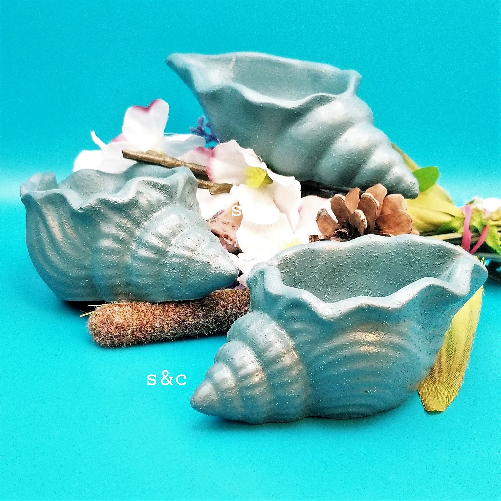 Small Conch Seashell Ornaments Tabletop Decoration Set of Three ...
