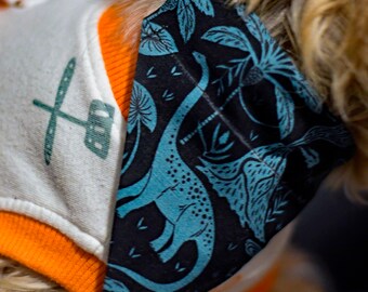 Teal Dinosaurs Over The Collar Pet Bandana | Dinosaur Print