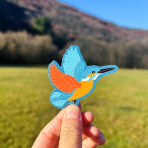 Sticker |  Kingfisher bird sticker, waterproof sticker, New Zealand sticker, gift