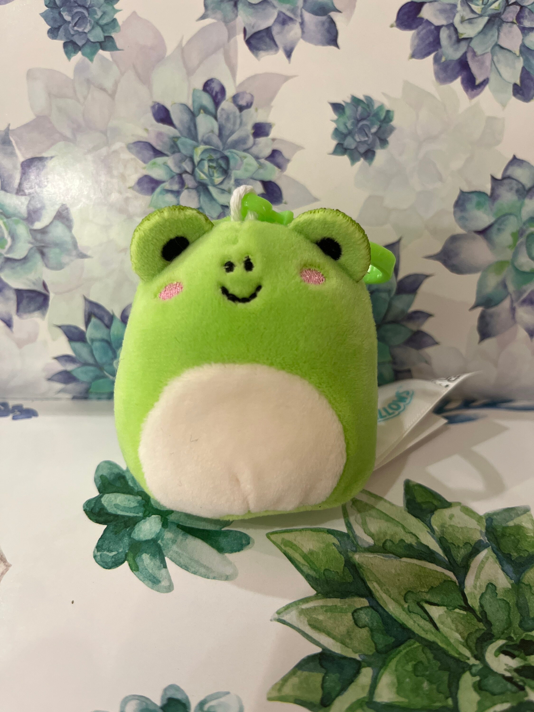 Squishmallow Wendy the Frog -  Canada