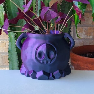 May include: A purple cauldron-shaped planter with a skull design and a dark purple metallic finish. The planter is filled with a green plant with purple leaves.