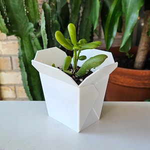3D Printed Chinese Takeout Box Planter: Asian-Inspired Home Decor