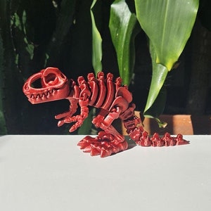 3D Printed Articulated Skeleton Flexi T-Rex Fidget Toy 3D Printed Tyrannosaurus Rex Dinosaur Gift