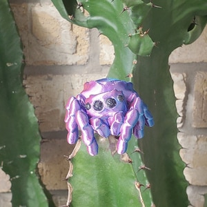 Cute Jumping Spider Pet For Sale! Jumping Spider Decor Enclosure Accessories /  3D Printed Jumping Spider