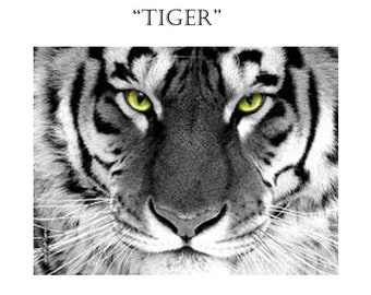 Tiger Counted Cross Stitch Pattern, PDF Digital Download