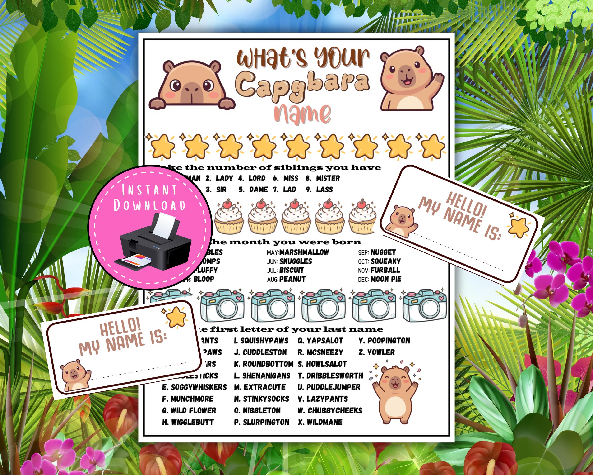 Capybara Name Game With Name Tags & Sign | Kids Birthday Party Activity ...