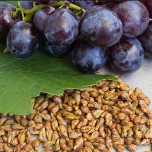 Organic whole black Grape Seeds 50g supplement, heart health, oxidants,