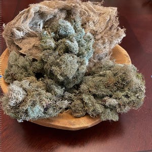 Organic hand harvested Cornish Usnea-Natures Ethereal lichen 10g
