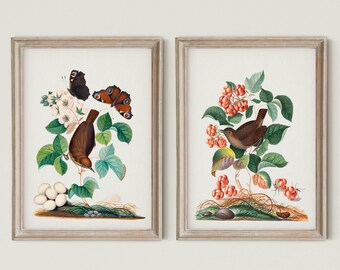 Set von 2 exotischen Vögeln, Vintage Vögel Druck, Tropische Vögel Dekor, Botanische WandKunst Dekor, Vögel und Schmetterlinge, DIGITALER DOWNLOAD