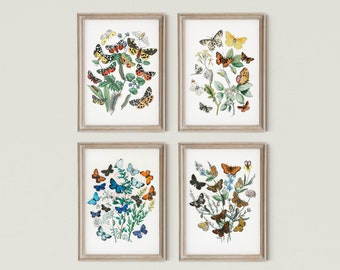 Vintage Butterflies Illustrations, Butterfly Prints, Set of 4, Botanical Prints, Entomology Prints,Butterflies and Flowers, DIGITAL DOWNLOAD