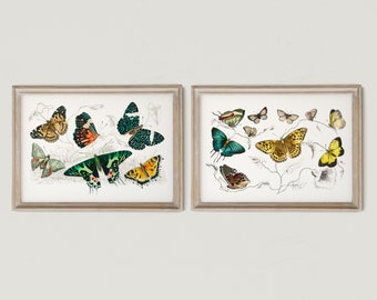 Butterflies Prints Set of 2, Vintage Butterflies Illustration, Botanical Art Prints,Prints Imprimibles, DIGITAL DOWNLOAD