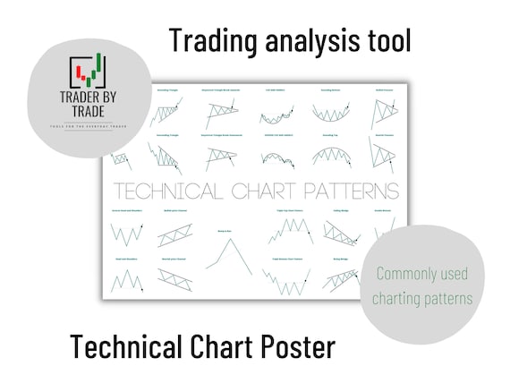 Image result for Navigating the Markets: A Beginner's Guide to the Top Trading Analytics Platforms infographics