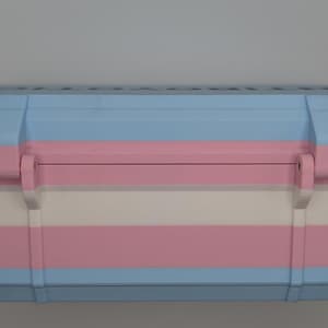 May include: A hard-sided case with a blue, pink, and white striped design. The case has a rectangular shape with rounded edges and a secure latch closure. The color scheme is reminiscent of the transgender pride flag.