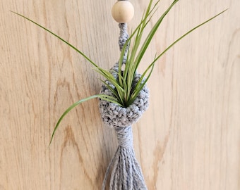Macrame Air Plant Holder With Upcycled Twist