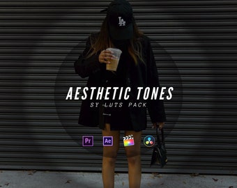 10 Aesthetic LUTs Color Grading, Mobile & Desktop, Video Presets, Premiere Pro, Lumafusion, Final Cut Pro, Cube, Video Editing Luts