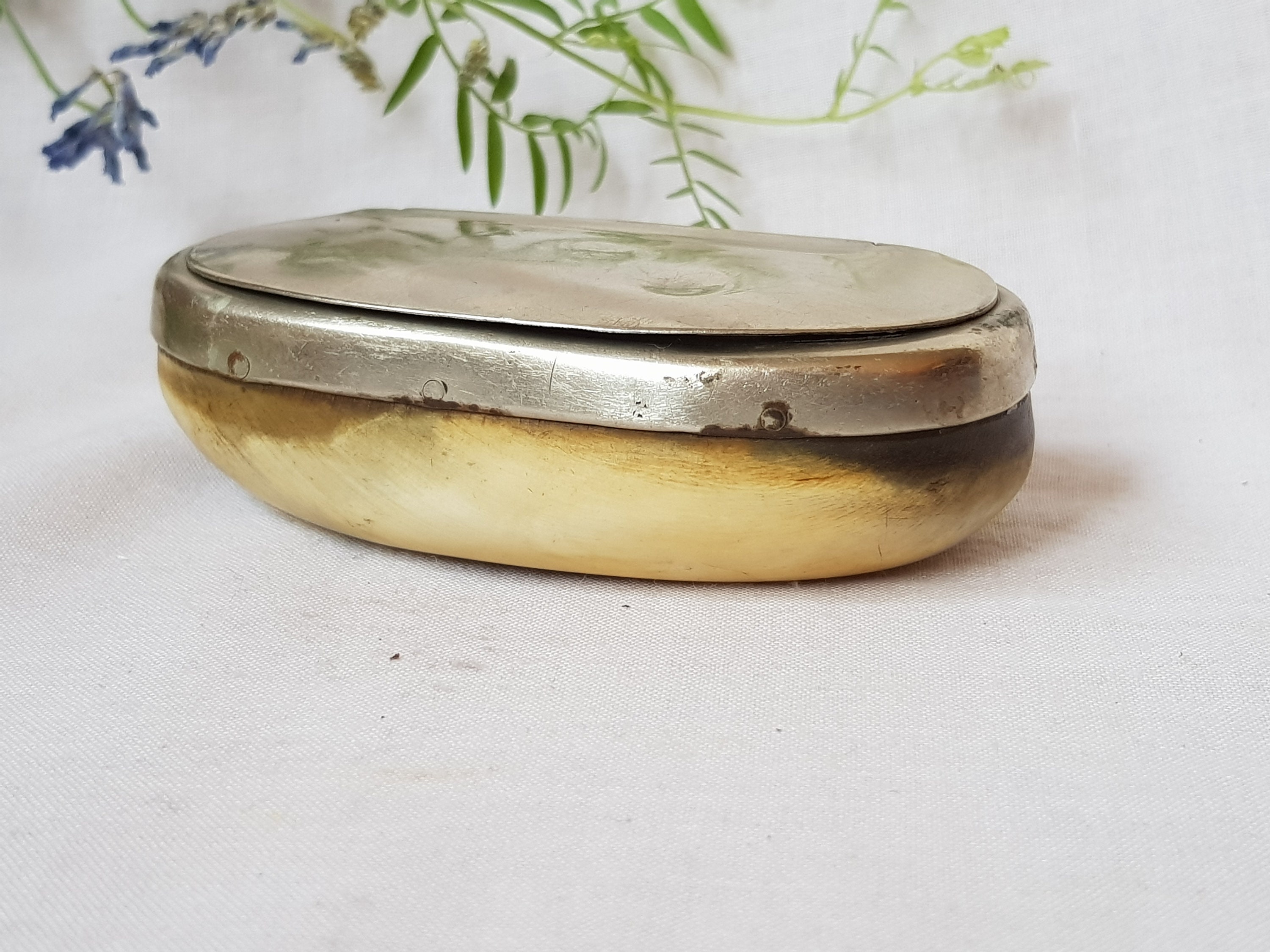 Snuff Box With Hinged Lid. Antique Snuff Box From Natural Horn. Lidded