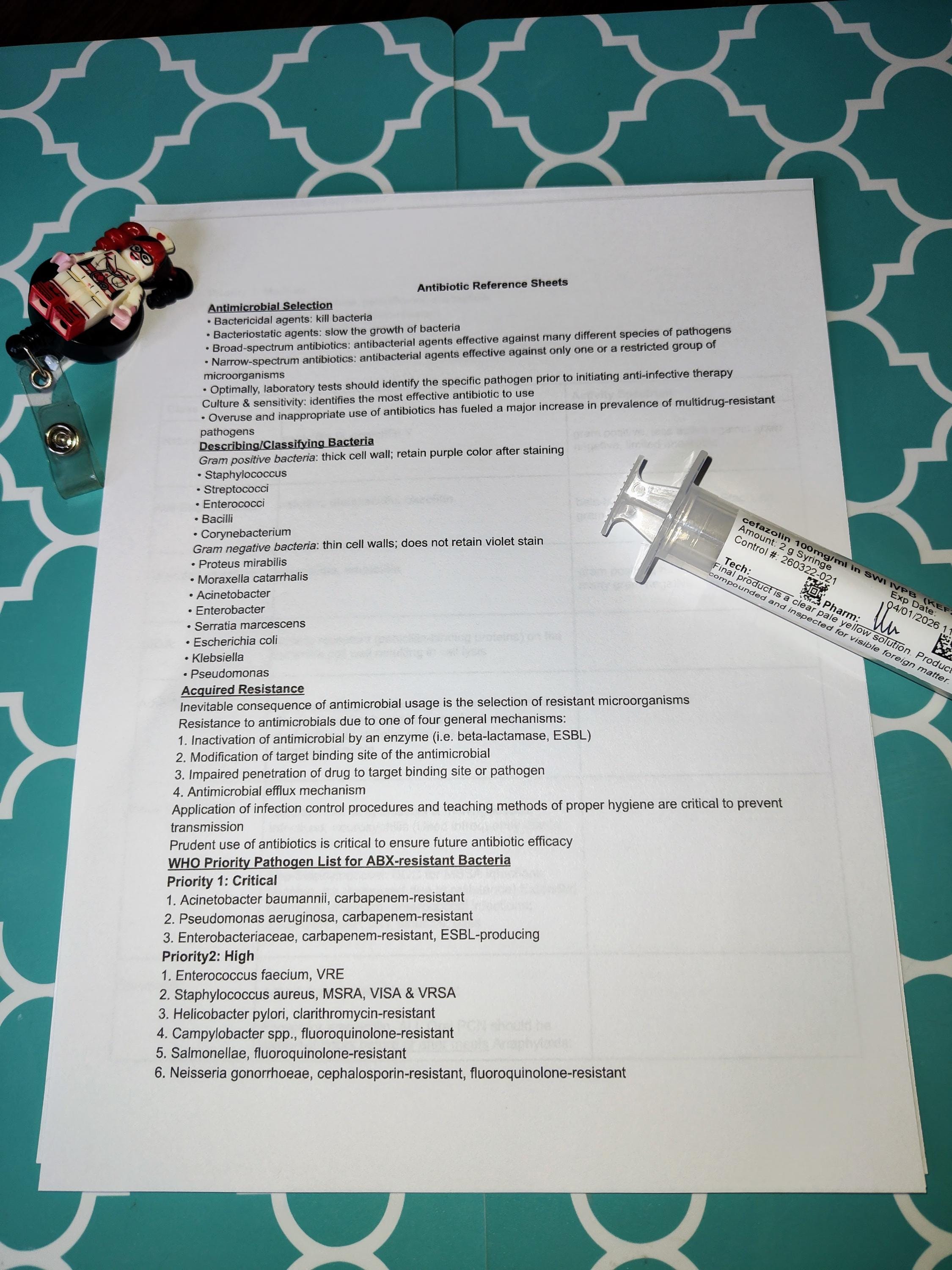 Antibiotic Prescribing Guide - Etsy