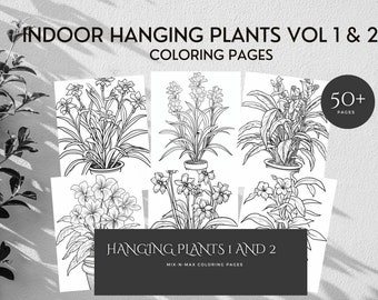 Indoor Hanging Plants Coloring Page - Relaxing Coloring Activity, DIY Nature Coloring for Adults