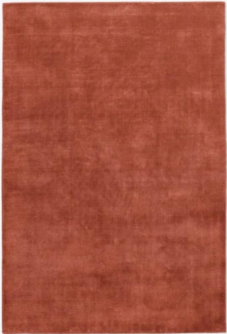 May include: A rectangular, solid rust-colored rug. The rug has a soft, plush texture and a uniform color throughout. The rug is a solid color and would be suitable for a living room or bedroom.