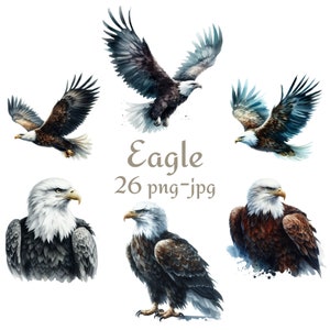 26 Eagle Clipart, High Quality Flying Eagle Clipart, Watercolor Eagle Transparent Background 300 Dpı PNG JPG Clipart