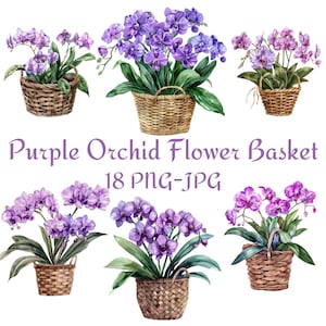 18 lila Orchidee Blumenkorb Clipart, Hochzeit Brautdusche lila Orchidee Blumenkorb Clipart, lila Orchidee Blumenkorb PNG JPG