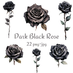 22 dunkel schwarze Rose Clipart, Hochzeit Brautdusche schwarze Rose hochwertige Clipart, Aquarell schwarze Rose 300 Dpı PNG JPG