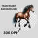 14 Horses Clipart, Free Horses Transparent Background, Watercolor ...