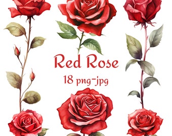 18 Red Rose Clipart, Wedding Bridal Shower Red Rose Flowers Clipart, Watercolor Red Rose Clipart PNG JPG