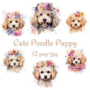 12 süsses Blumenporträt Pudel Welpe Clipart, Pudel Welpe Aquarell Clipart, Aquarell Blumen niedlichen Hund Clipart, Pudel Welpe PNG JPG