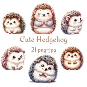 21 Clipart hérisson mignon, clipart hérisson bébé mignon, aquarelle hérisson mignon haute qualité sur fond Transparent 300 Dpı PNG JPG Clipart