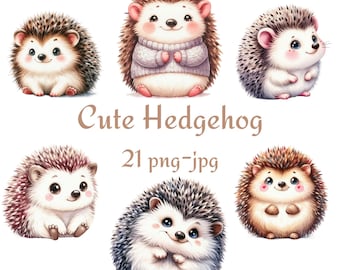 21 Watercolor Baby Hedgehog Clipart, Nursery PNG JPG (Digital Download)