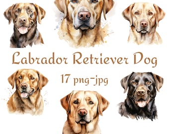 17 Labrador Retriever Hund Clipart, Aquarell Labrador Retriever Clipart, Labrador Retriever Transparenter Hintergrund 300 Dpı PNG JPG Clipart