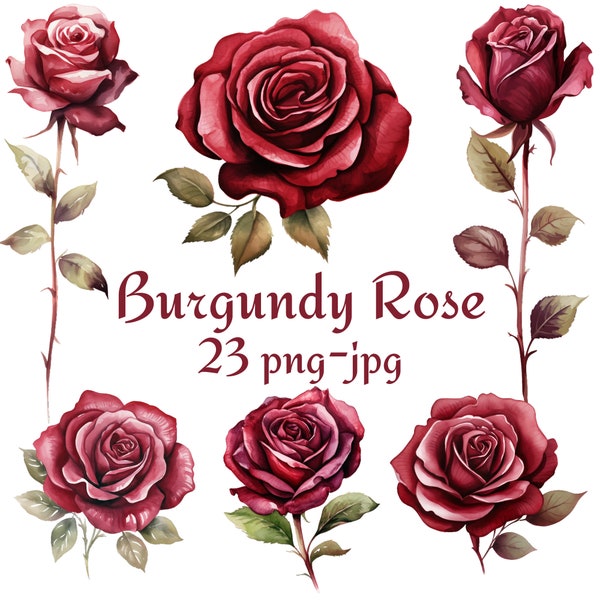 23 Burgundy Rose Clipart, Wedding Bridal Shower Burgundy Rose Clipart, Watercolor Burgundy Rose, Floral Burgundy Rose PNG JPG