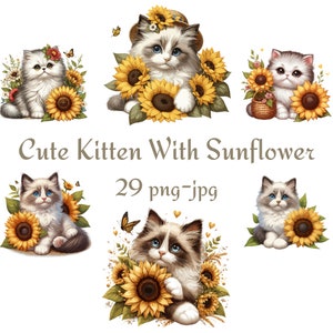 29 chaton mignon avec des cliparts tournesol, mignon chaton persan siamois Ragdoll avec des cliparts tournesol, mignon chaton aquarelle 300 Dpı PNG JPG